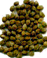 seeds.gif (5734 bytes)